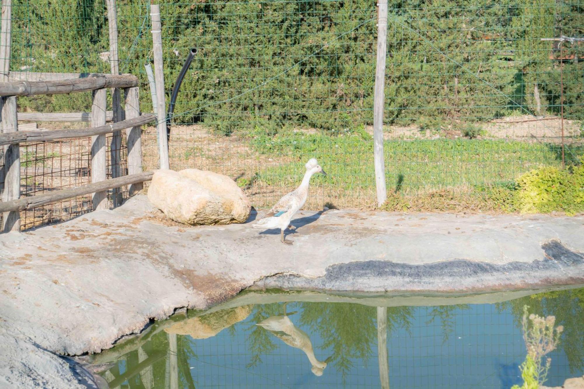 Villa Casale Scirbia Marzamemi Esterno foto